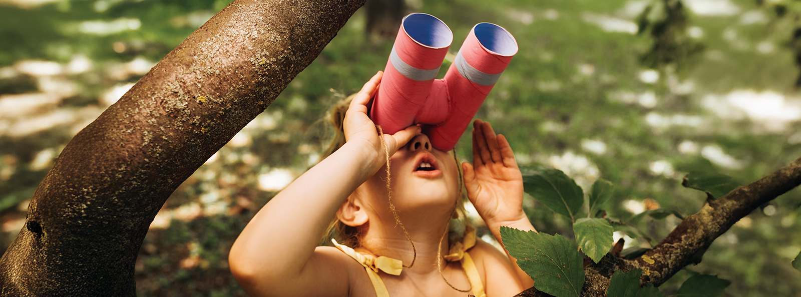 Kleines Mädchen schaut im Wald durch eine selbst gebastelte Papprohr-Fernglas in die Ferne